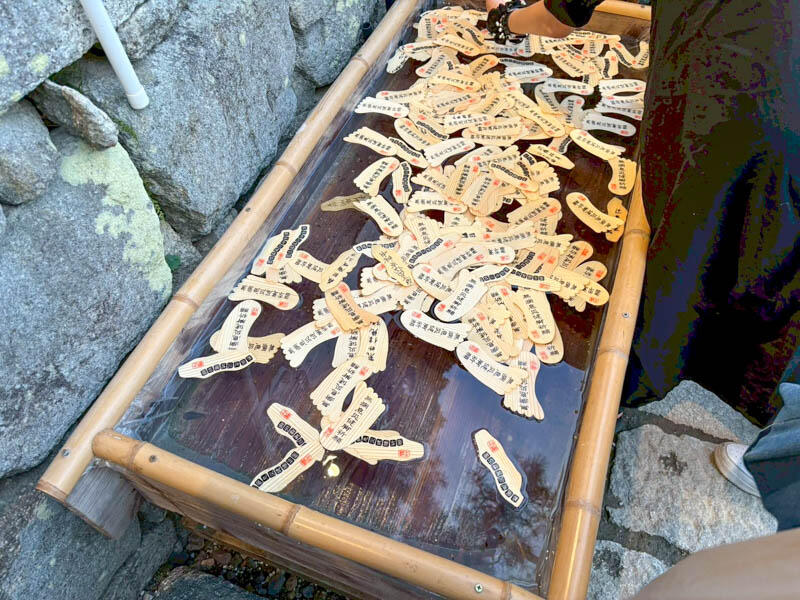 photo (10).jpg