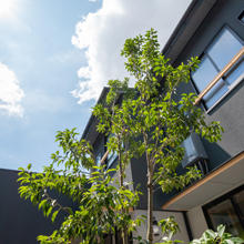 photos-25.jpg