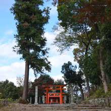 京都をまちブラしよう！ー京都大学周辺 吉田ー