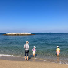 愛媛県の田舎の魅力を探る旅【八清の自由研究2022 その7】