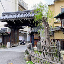 京都をまちブラしよう！ー梅小路ー