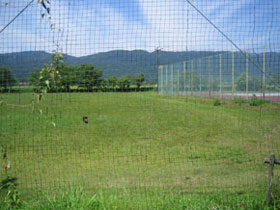 滋賀県高島市マキノ町