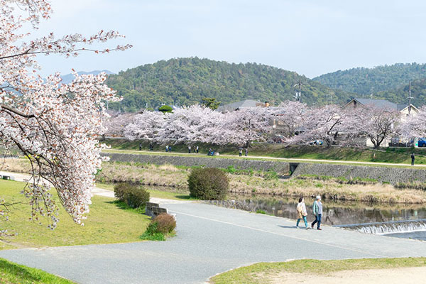 賀茂川