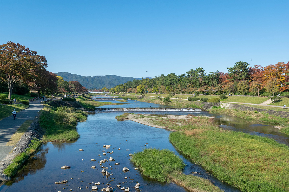 賀茂川