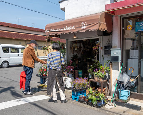 田中美穂植物店の写真_浄土寺　灯縁 -hiyori-（京都市左京区浄土寺下南田町）