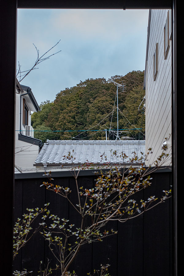 船岡山の眺めの写真_紫野・船岡山を仰ぐお家（京都市北区紫野南舟岡町）