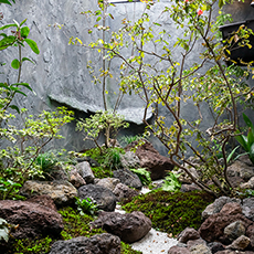 東福寺北の京町家（2019年） 改装後