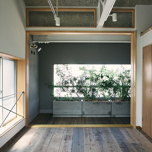 botanical + brutalism