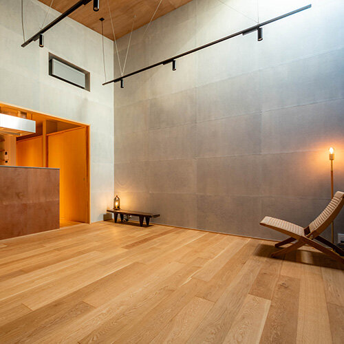 静寂な居、振起の平家