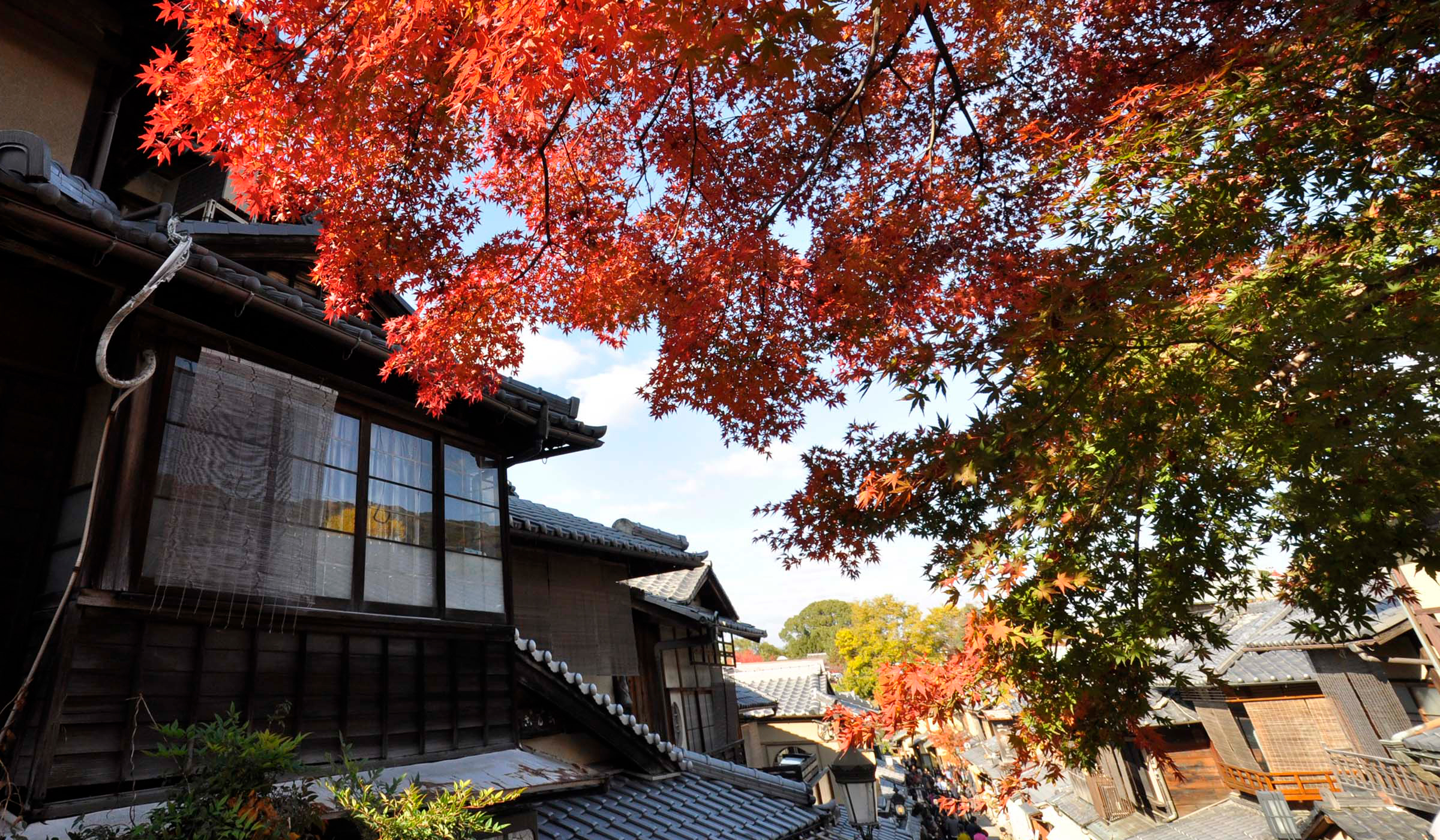 京都の風景