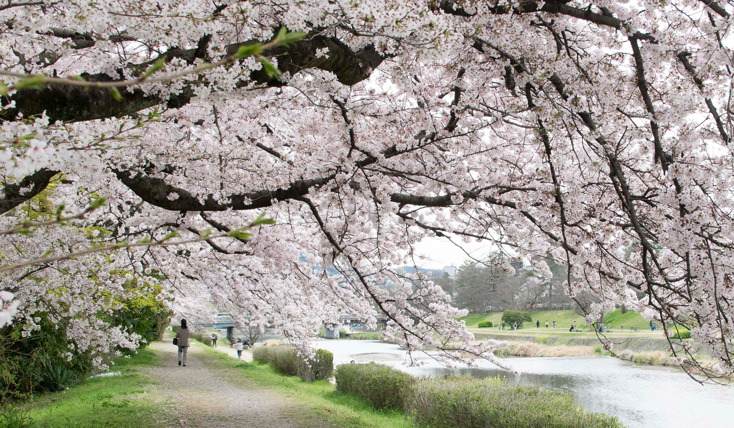 京都の風景