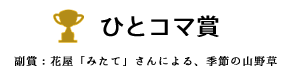 ひとコマ賞