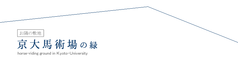 お隣の敷地／京大馬術場の緑