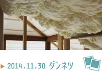 ダンネツ
