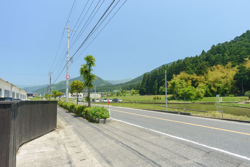 森の学校さんからの風景