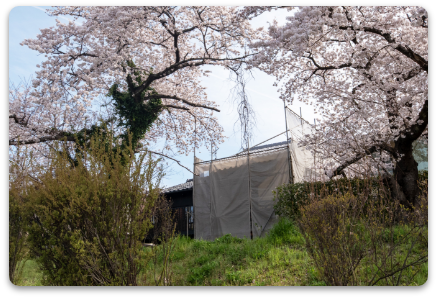 2022年4月桜のころ工事中