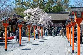 平野神社