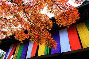 大報恩寺（千本釈迦堂）