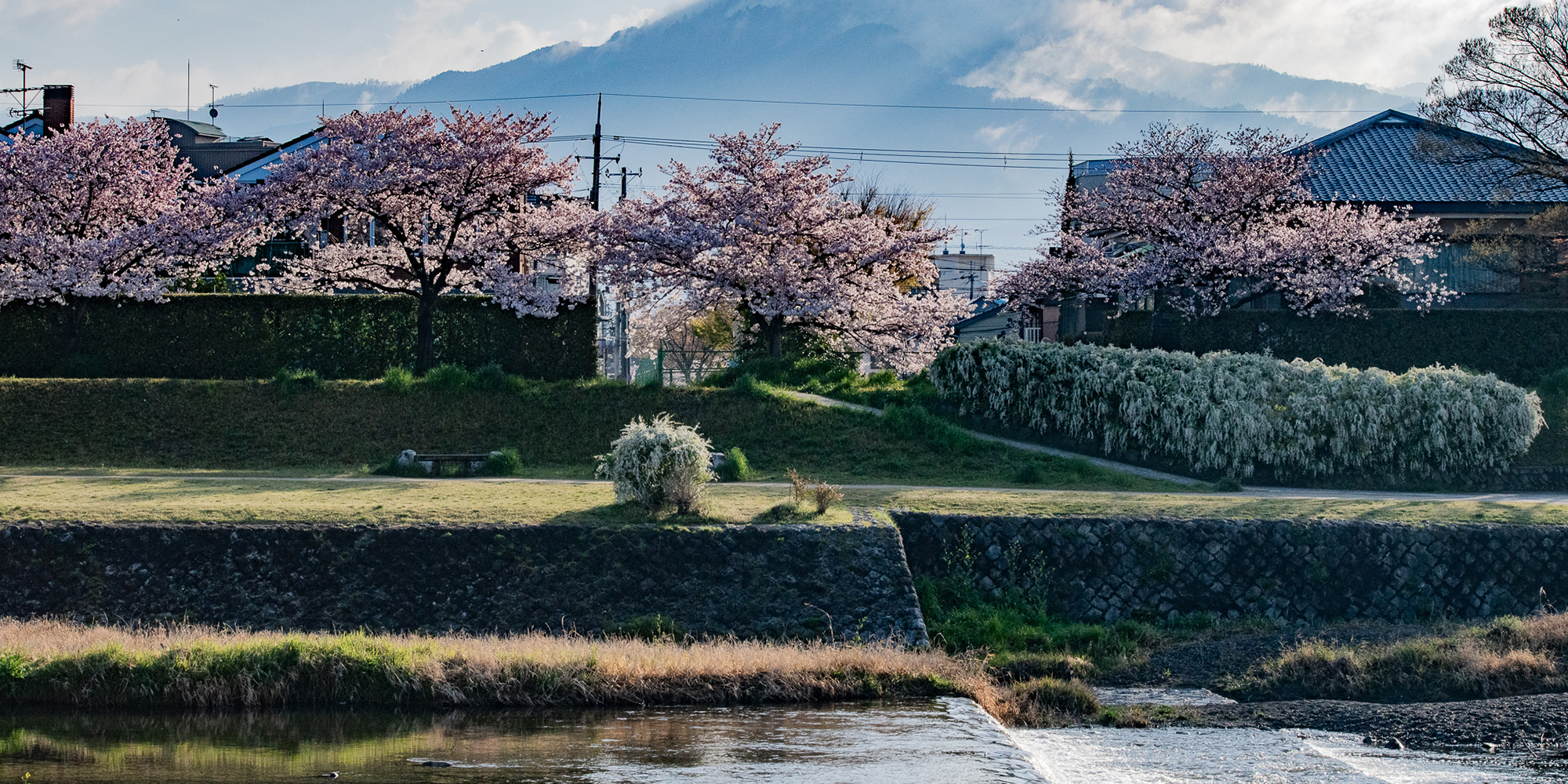 鴨川の景色