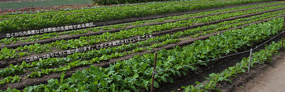 古くから九条葱など京野菜の産地である南区。