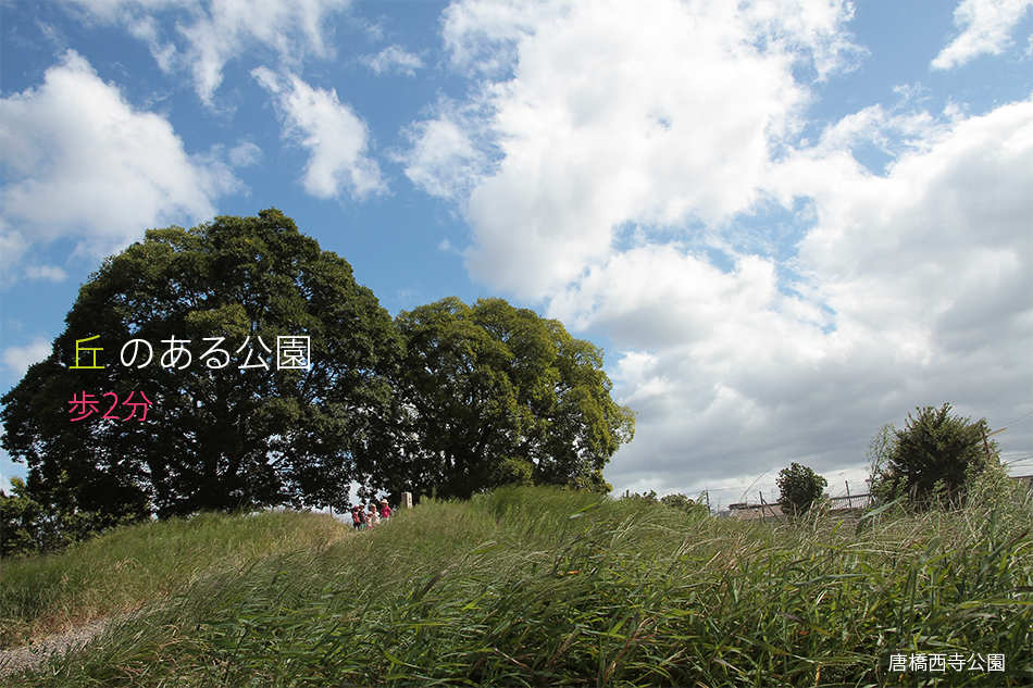 丘のある唐橋西寺公園まで徒歩2分。