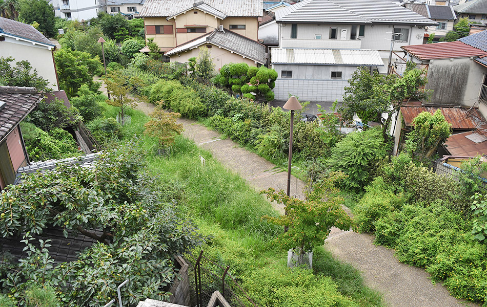 廃線跡