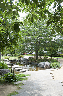 桜井公園