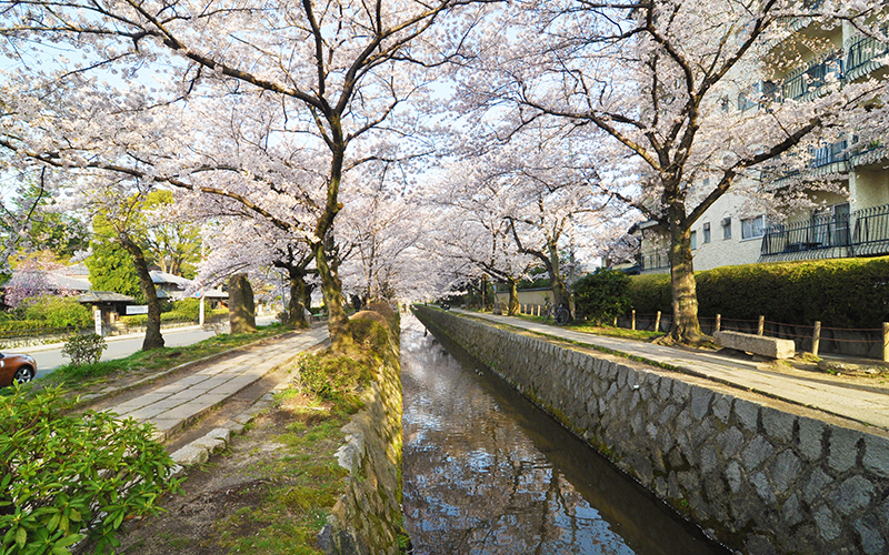 京町家のマンスリー短期賃貸物件 京別邸 銀閣寺