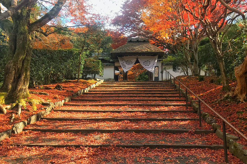 安楽寺