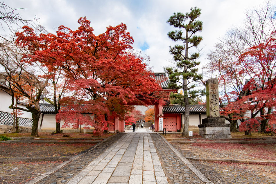 真正極楽寺（真如堂）