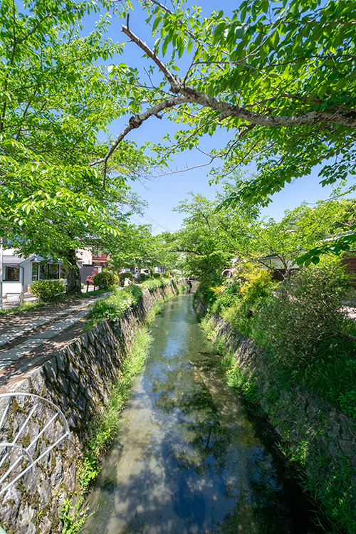 哲学の道 夏